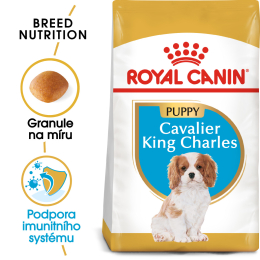 Royal Canin Cavalier King Charles Puppy 1,5 kg Royal Canin Cavalier King Charles Puppy 1,5 kg