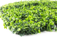 Umělý živý plot Hawaj Buxus High | Stěna 100 x 100 cm