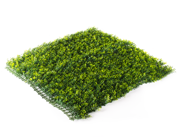 Umělý živý plot Hawaj Buxus High žlutý Stěna 100 x 100 cm