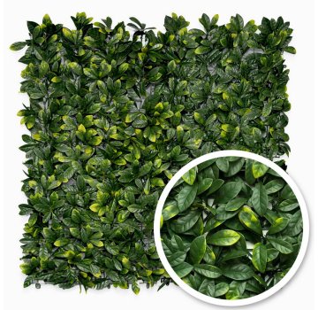 Umělý živý plot Vavřín Premium | Stěna 100 x 100 cm