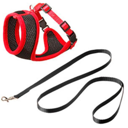 postroj-flamingo-cerveno-cerny-120cm15mm postroj-flamingo-cerveno-cerny-120cm15mm