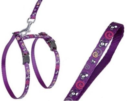 postroj-kitten-nylon-s-vod-sportiv-fial-karlie-1-00-x-120-cm postroj-kitten-nylon-s-vod-sportiv-fial-karlie-1-00-x-120-cm