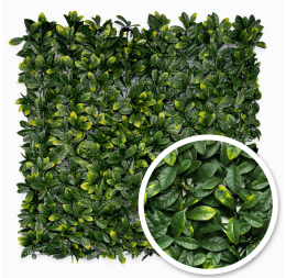 Umělý živý plot stěna Vavřín Premium 100 x 100 cm