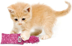 hracka-cat-textil-kickeroo-kitten-mix-barev-kong