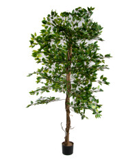 Dekorativní umělý Citrus Hawaj - 180 cm