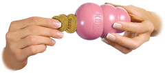 pamlsek-do-hracek-puppy-kong-l