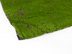 Umělý živý Mech Hawaj Moss | Role 1 x 5 m
