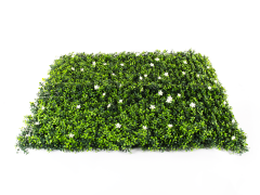 Umělý živý plot Hawaj Buxus High s květy | Stěna 100 x 100 cm