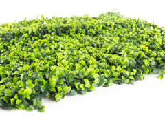 Umělý živý plot Hawaj Buxus High | Stěna 100 x 100 cm