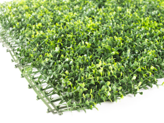 Umělý živý plot Hawaj Buxus High zelený | Stěna 100 x 100 cm