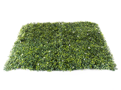 Umělý živý plot Hawaj Buxus s květy | Stěna 100 x 100 cm