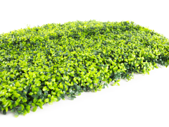 Umělý živý plot Hawaj Buxus | Stěna 100 x 100 cm