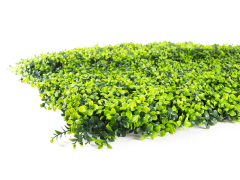 Umělý živý plot Hawaj Buxus | Stěna 100 x 100 cm