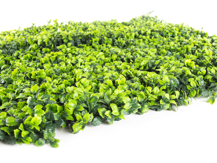 Umělý živý plot Hawaj Buxus High | Stěna 100 x 100 cm Umělý živý plot Hawaj Buxus High | Stěna 100 x 100 cm